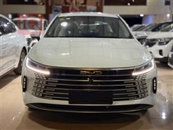 BYD Destroyer 05